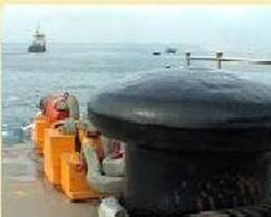 BLL1